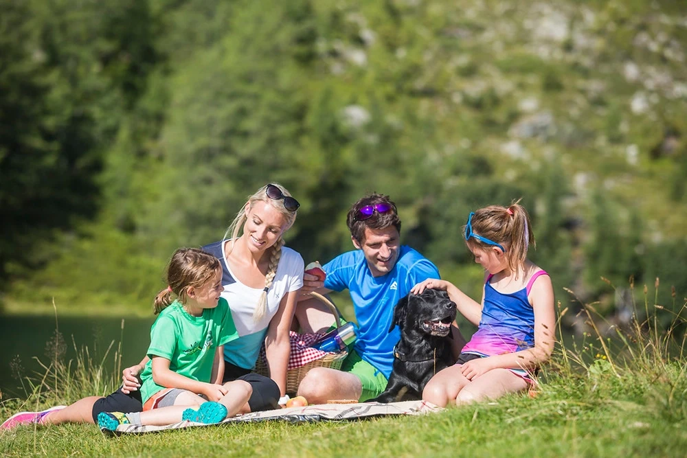 Wandern mit dem Hund Salzburg